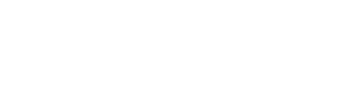 Flexthink